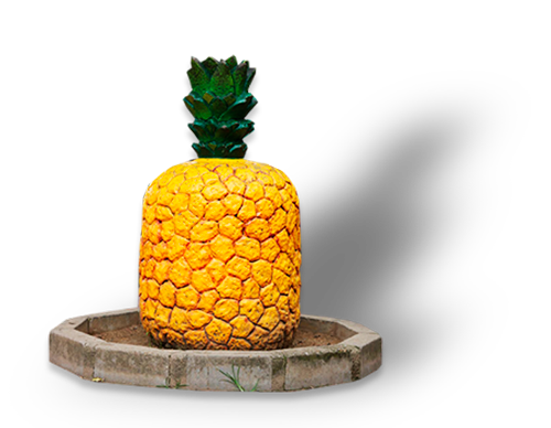 piña