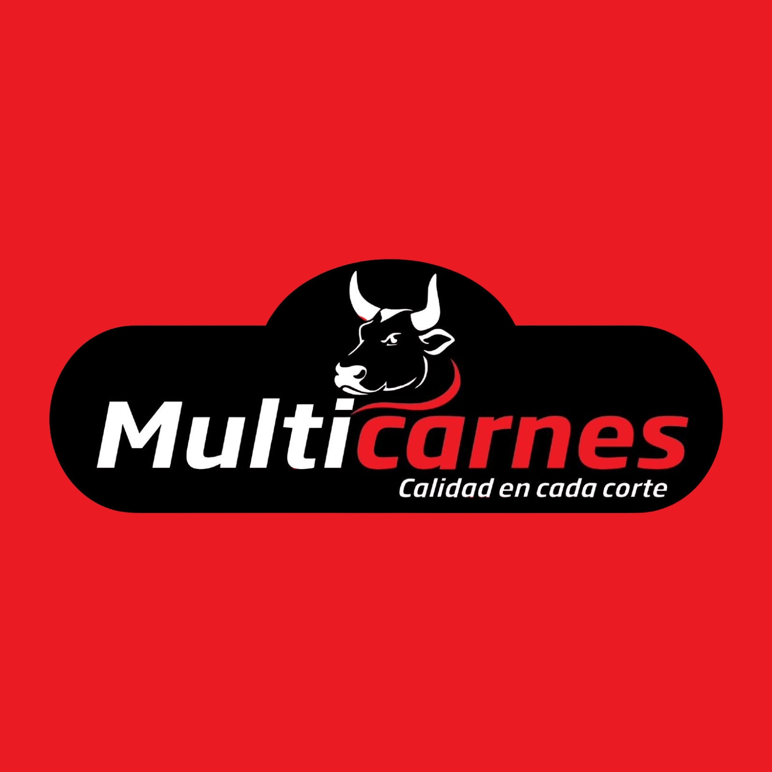 LOGOS DIRECTORIOLEBRIJA (9)
